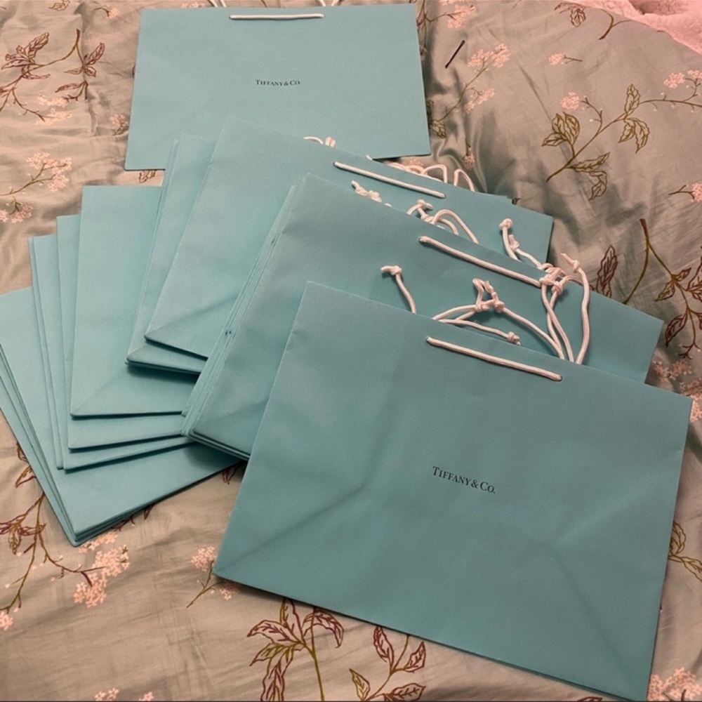 Tiffany and Co Bags Extra Large